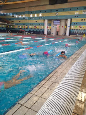 Campanya de natació